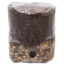 Mini Mega Mix All-in-One Mushroom Grow Bag