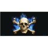 Blue Flame and Crossbones License Plate