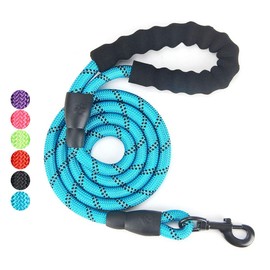 Gift Set for Dog Walking, Car Travel, Hiking, Camping – 5 FT Reflective Dog Leash, Adjustable Car Seat Belt and Collapsible Dog Cat Bowl-Blue