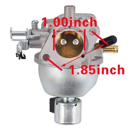 HONEYRAIN 847395 Carburetor Kit for JD LT-166 BS 16 HP Vanguard Engine BS 846280 808725 846944 350772-0045-01 350772-0102-01 350776-0046-02 350777-0034-01 Engine