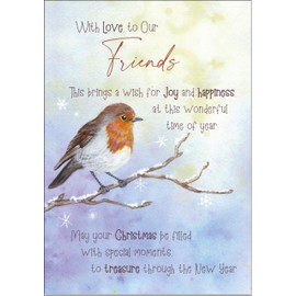 doodlecards Friends Christmas Card Watercolour Robin In The Frost Large A4 Size Christmas Card for Friends with Plain Envelope