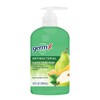 Germ-X Crisp Pear & Summer Melon Antibacterial Liquid Hand Soap,
