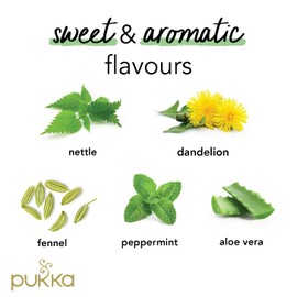 Pukka Herbs | Radiance Organic Herbal Tea | Fennel, Aloe Vera, Peppermint, Dandelion and Nettle | Perfect For An Inner Glow | 4 packs | 80 Sachets