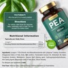 Horb?ach Palmitoylethanolamide Pea 450mg | Levagen Plus Pea | 90