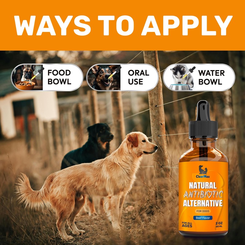 Natural Antibiotics for Dogs for Allergies, Infections, Coughs, Digestive Moments