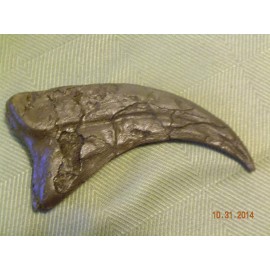 NEW Deinonychus Jurassic park unrestored velociraptor claw replica 7in brown