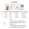 SKXEO Small Dog No Pull Harness and Lead Set -