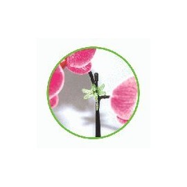 Orchid and Plant Spike Clips."dragonfly Clips". 24 Pack.