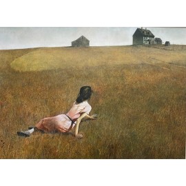 Andrew Wyeth "Christina's World '48" CUSTOM FRAMED Art Americana Rural Farm USA