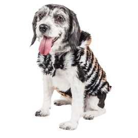 Pet Life Luxe 'Tigerbone' Glamourous Tiger Patterned Mink Fur Dog Coat Jacket