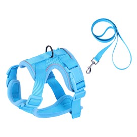 CHENGZI Pet Outdoor Leash Anti-breakaway Carrier (Blue-XS)