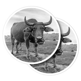 Vinyl Round Stickers (Set of 2) 10cm - BW - Carabao Buffalo Philippines for Laptops, Tablets, Luggage, Scrap Booking, Fridges #38977