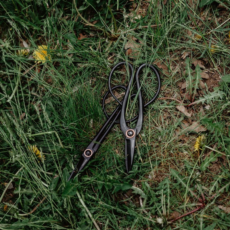 Barebones Artisan Sheer L