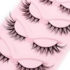 5 pairs Wispy Cat Eye Lashes Wispy False Eyelashes Natural