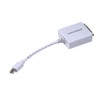 Monoprice Mini DisplayPort | Thunderbolt to DVI Adapter [Electronics]