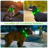 Light Collar Dog (Green, S)