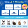 moftech Cat Calvo, Inert, Hypochlorous Acid Water, Clear Pet Pro,