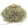 Horsetail and Green Tea Herbal Infusion (Jasmine - 25 Unbleached