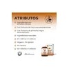BIO B | Extracto de Cúrcuma C3 Complex al 95%