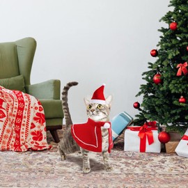 Pet Christmas Costume Set, Cat Christmas Cloak with Red Xmas Hat, Lovely Dog Costume Cat Red Cloak, Adjustable Santa Hat, for Cats Puppy Kitten Small Dogs Pets Cosplay Party Xmas New Year