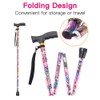 Walking Cane LIXIANG Cane for Woman | Mobility & Daily