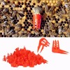 250Pcs Queen Bee Cage Bee Queen Plastic Opening Queen Bee