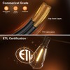LaPitio 100FT Remote Outdoor String Lights for Outside, 50+2 LED