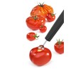 triangle Tomato Stalk 004 25 (Professional) for Strawberries and Tomatoes