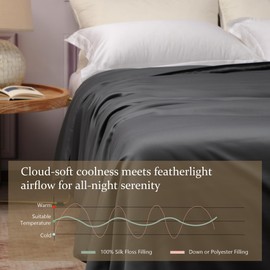 CUDDLE DREAMS Lightweight Silk Filled Comforter for Summer, Detachable Tencel Duvet Cover for Easy Care, Naturally Breathable (Steel Gray, Twin)