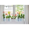 elho Brussels Orchid High 12.5 - Flower Pot for Indoor