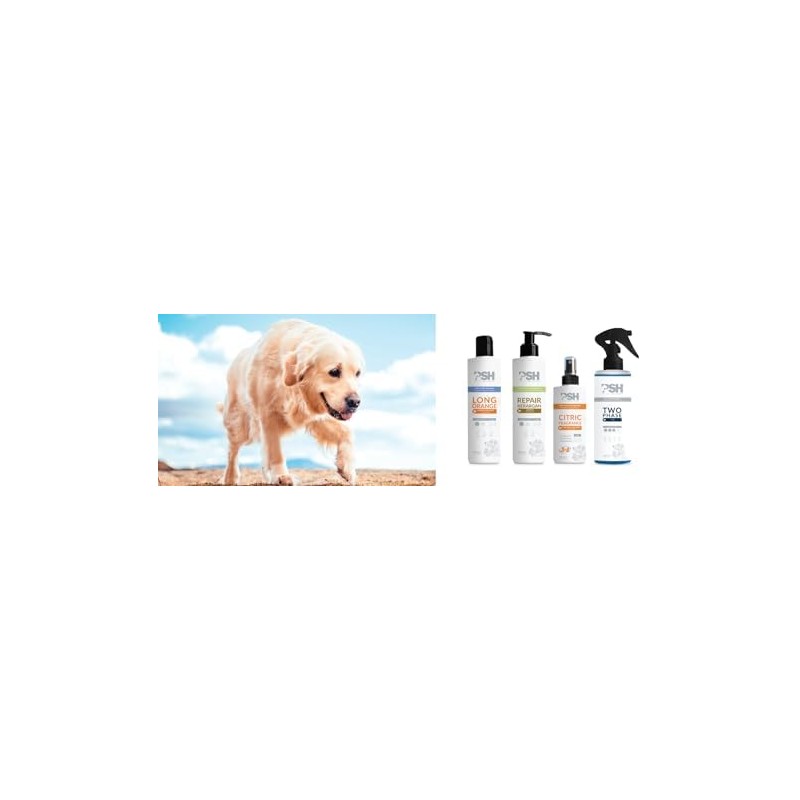 PSH Long Orange, Champú Suave con Colágeno Marino para Perros
