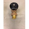 Legend Valve Bronze Steam Angle 110-105