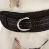 EveryYay Easy On Training Dog Harness, Black, Medium