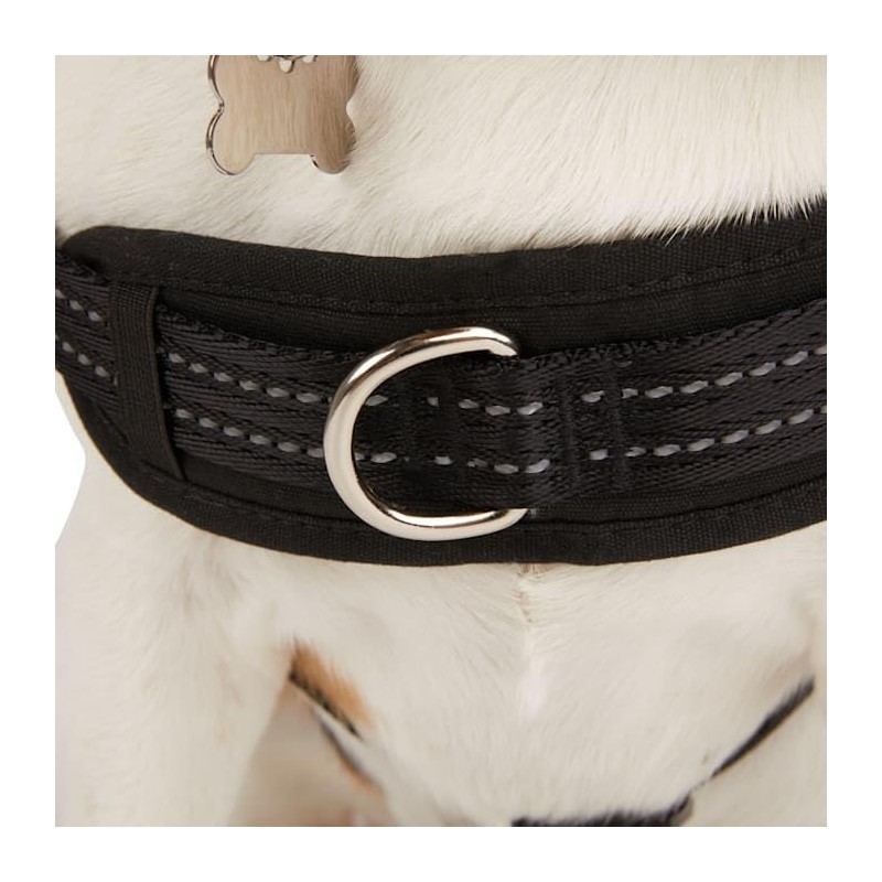 EveryYay Easy On Training Dog Harness, Black, Medium