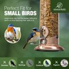 Kingsyard Upgraded Bluebird Feeder for Outdoors Hanging, Metal Mealworm Tube
