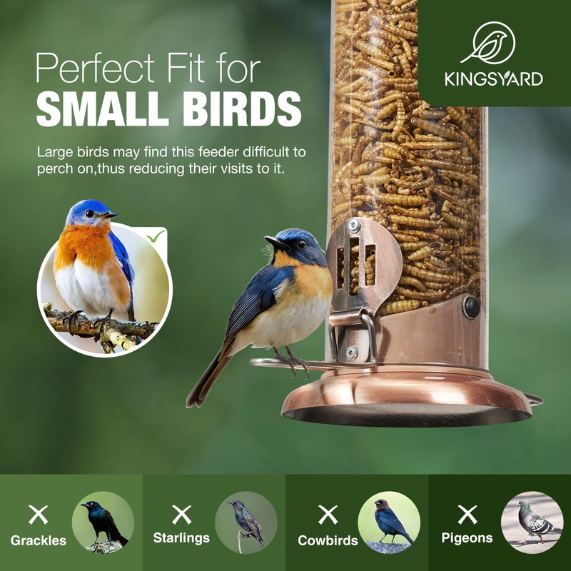 Kingsyard Upgraded Bluebird Feeder for Outdoors Hanging, Metal Mealworm Tube