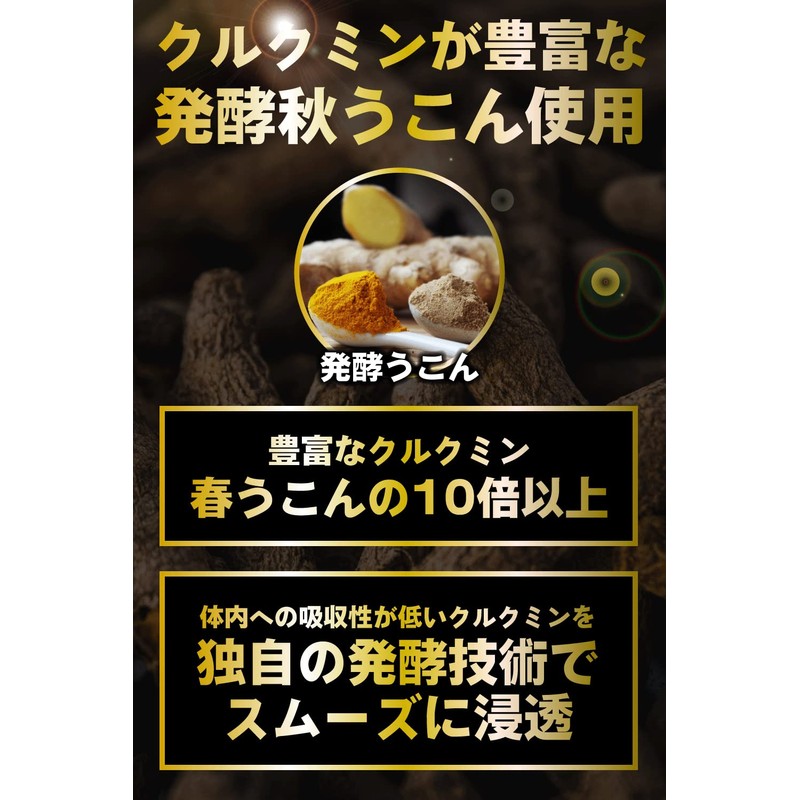 なにコレ ウコン サプリメント マカ 黒酢 錠剤 2袋入り