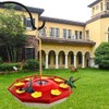Hummingbird Feeder Outdoor Hanging Hummingbird Feeding Tray 8 Feeding Ports