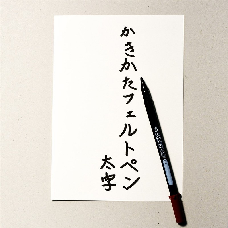 サクラクレパス 水性マーカー かきかたフェルトペン 細字・太字 FK-2SL 2本入