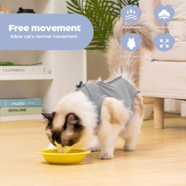 Avont Cat Recovery Suit Post-Surgery Onesie, Breathable Cone-of-Shame Alternative Bodysuit for Spayed Female Kittens, Skin Abdonminal Wound Care -Grey(S)