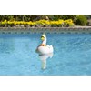 Poolmaster Swimming Pool Chlorine Dispenser, Goose