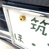 RENPA Titanium Alloy License Plate Bolt Wild Design Vehicle Inspection