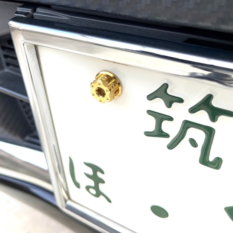 RENPA Titanium Alloy License Plate Bolt Wild Design Vehicle Inspection