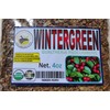 Mexcian Herbs & Roots 4oz Wintergreen leaf/leaves c/s - axocopaque