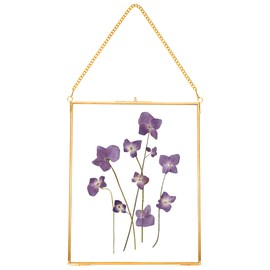 REDHUGO Hanging Pressed Flower Frames, Double Glass Floating Picture Frame Handmade, Glass Frame for Pressed Flowers, Vintage Brass Picture Frame for Artwork Wall Display Mount, Gold, 8x10 Inches