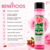 Shampoo de Aceite con Rosa Mosqueta, Suavidad, Anticaída, Regenerador, 500