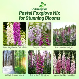 Outsidepride Digitalis Purpurea Gloxiniaeflora Mix Foxglove Seeds – 5000 Pcs Biennial, Prolific, Tall Growing Flower Seeds with Pollinator-Friendly Blooms for Shaded Gardens & Outdoor Landscapes