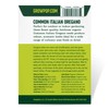 Organic Common Italian Oregano Seeds - USDA Organic, Non-GMO, Open