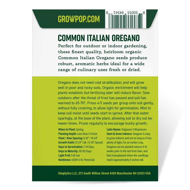 Organic Common Italian Oregano Seeds - USDA Organic, Non-GMO, Open