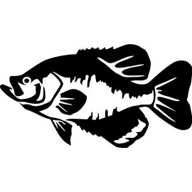 Express Yourself Products Black Crappie Wall Decal (Black - Reverse Facing - Small) - Freshwater Fish Collection